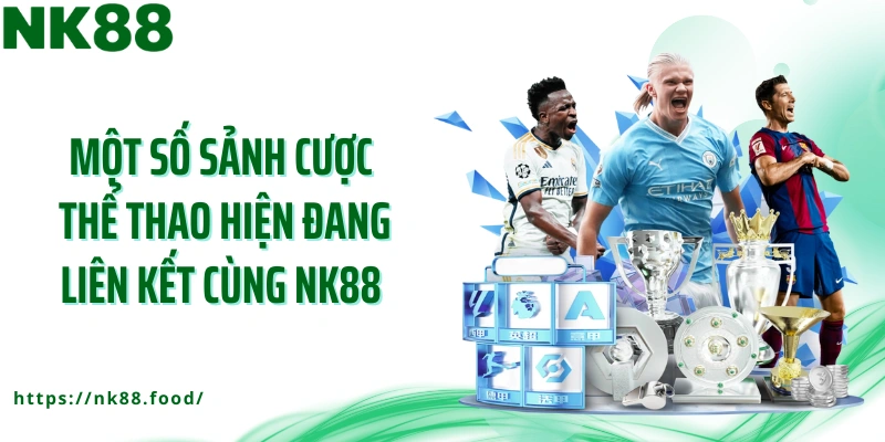 Một số sảnh cược thể thao hiện đang liên kết cùng NK88